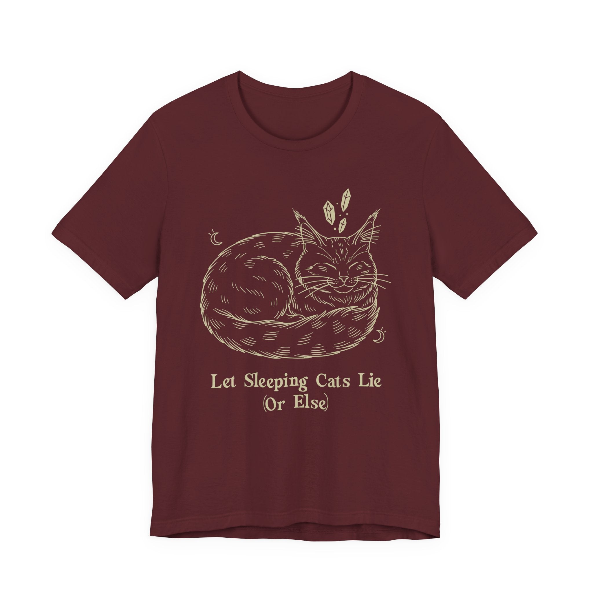 Let Sleeping Cats Lie T-Shirt