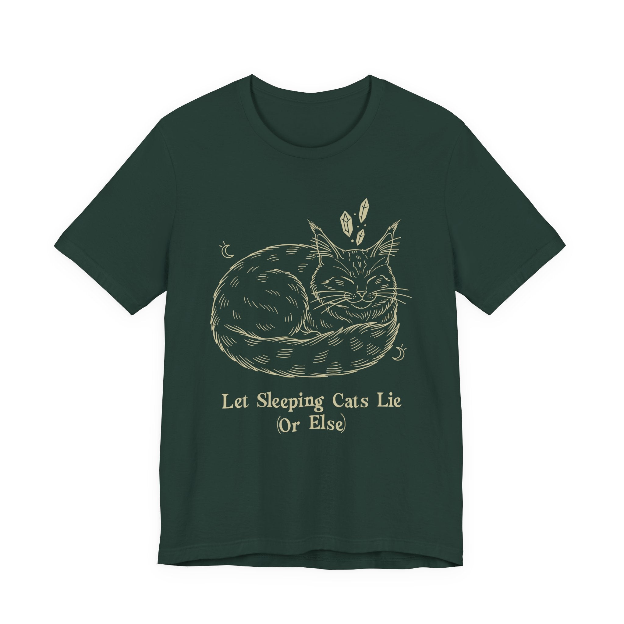 Let Sleeping Cats Lie T-Shirt