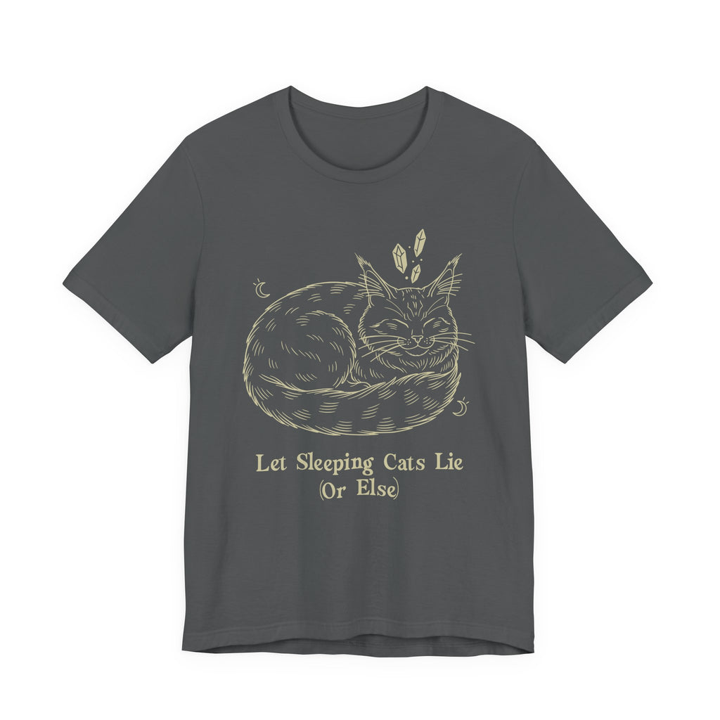 Let Sleeping Cats Lie T-Shirt