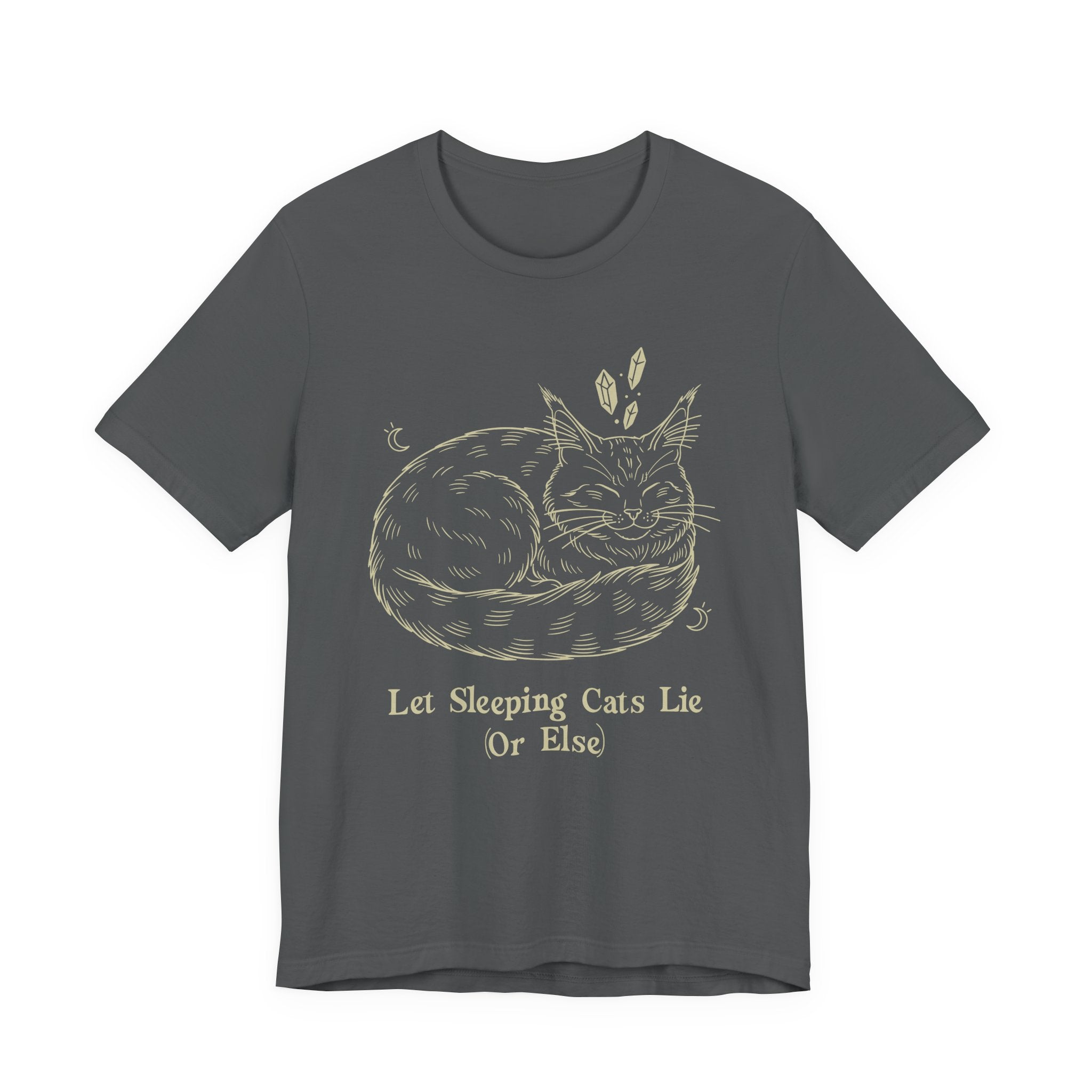 Let Sleeping Cats Lie T-Shirt