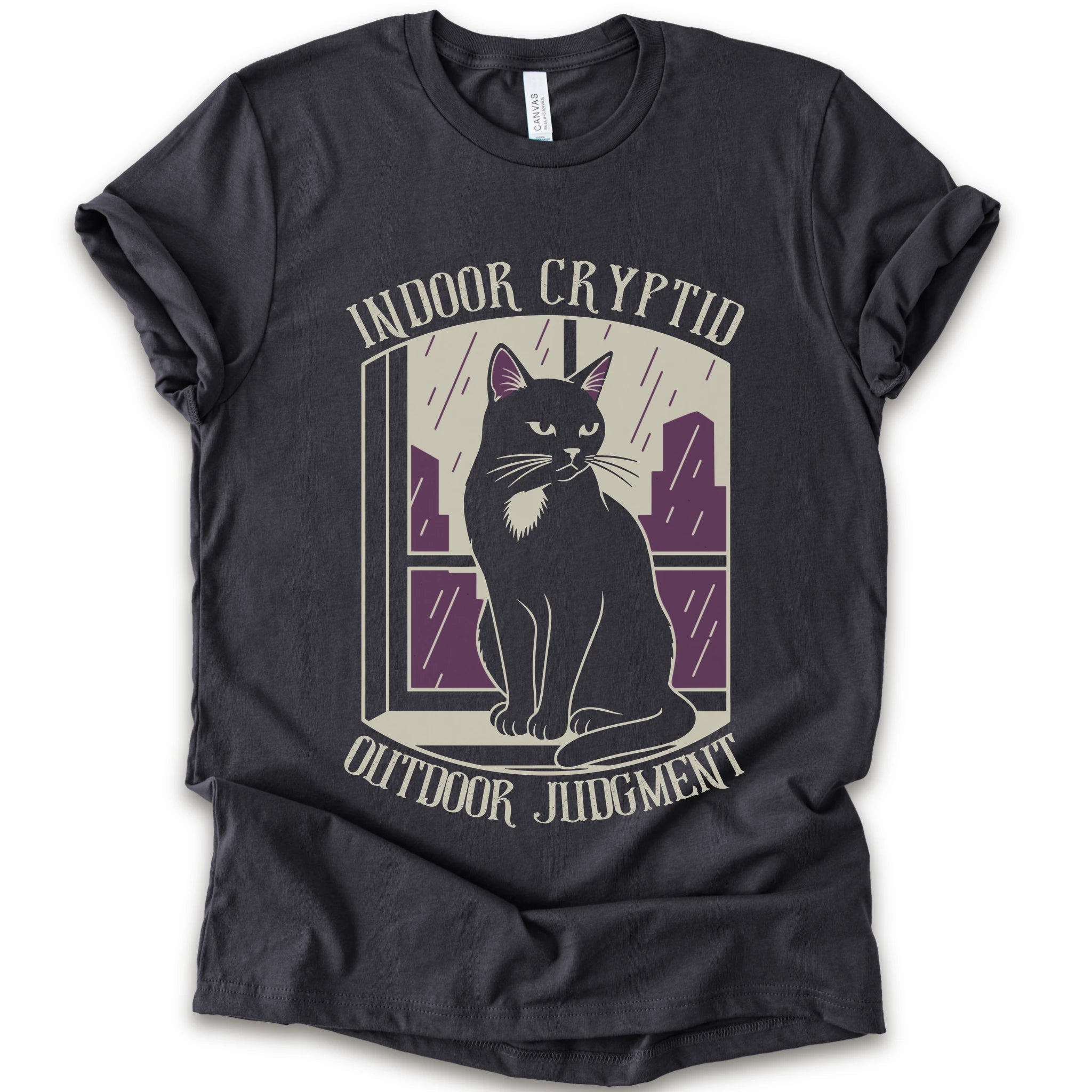 A dark grey short-sleeve graphic t-shirt featuring a stylized illustration of a black cat sitting in front of a window with purple rain streaks, with the text 'INDOOR CRYPTID' and 'OUTDOOR JUDGMENT' printed on the front.
