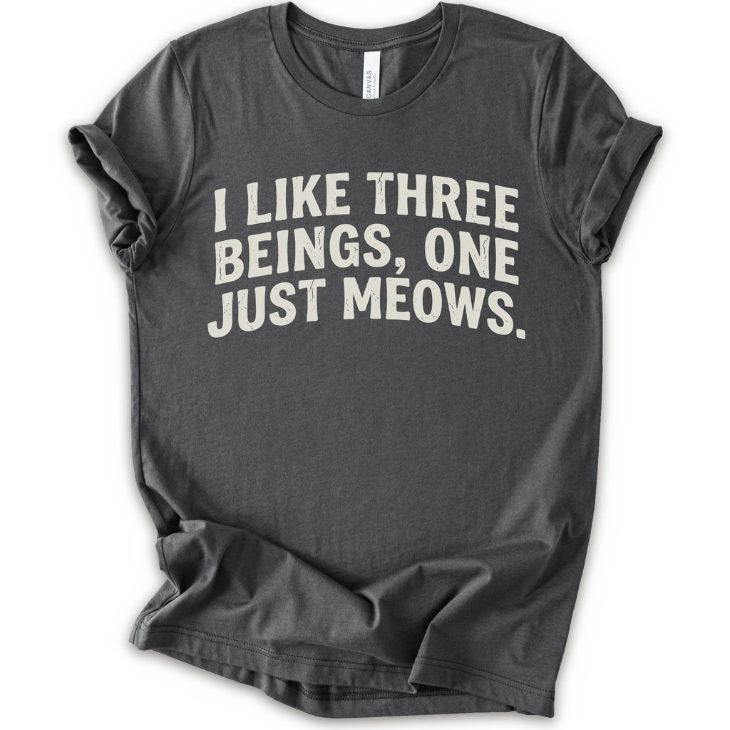 Asphalt graphic t-shirt with distressed cream text reading “I LIKE THREE BEINGS, ONE JUST MEOWS.” for an introvert cat T-shirt