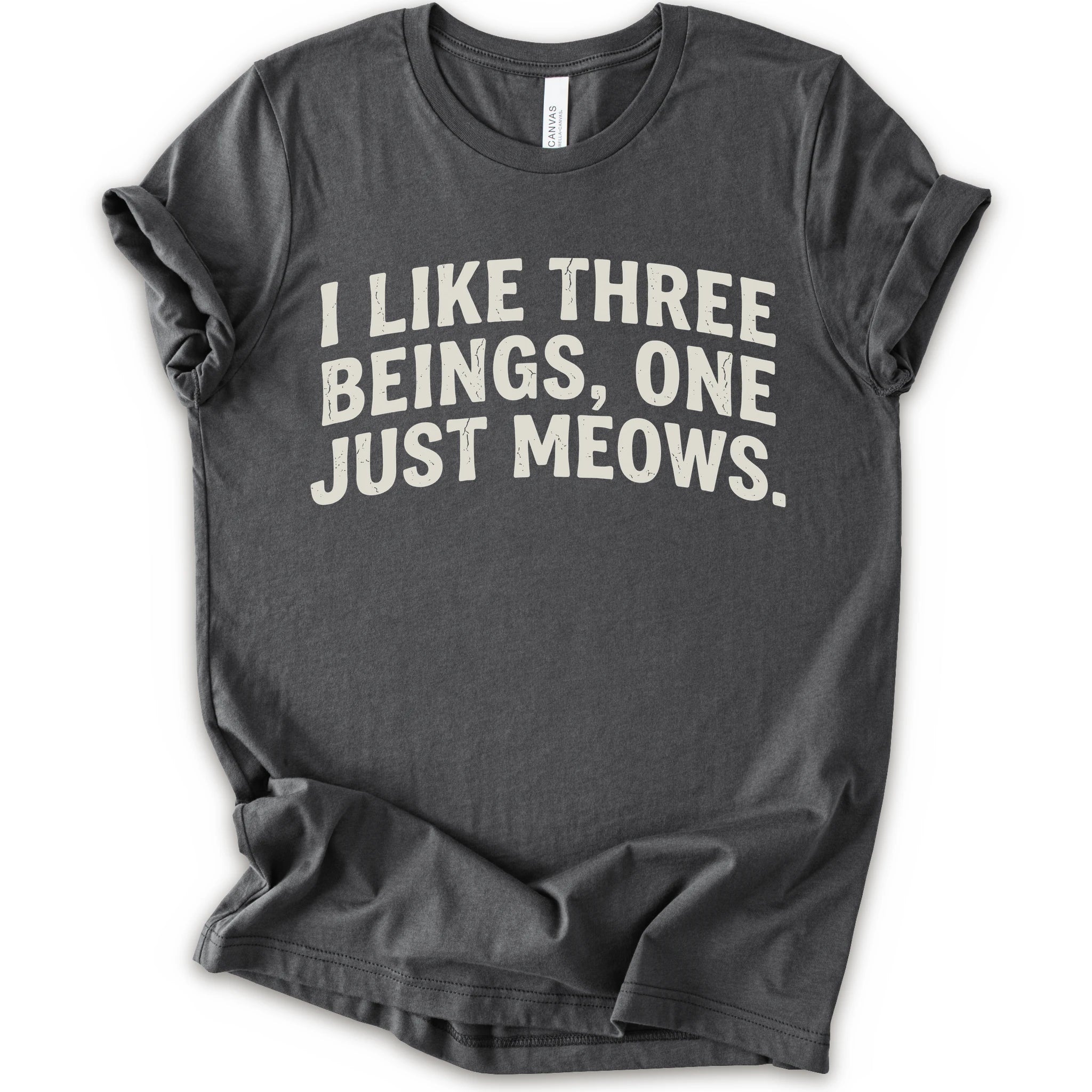 Asphalt graphic t-shirt with distressed cream text reading “I LIKE THREE BEINGS, ONE JUST MEOWS.” for an introvert cat T-shirt