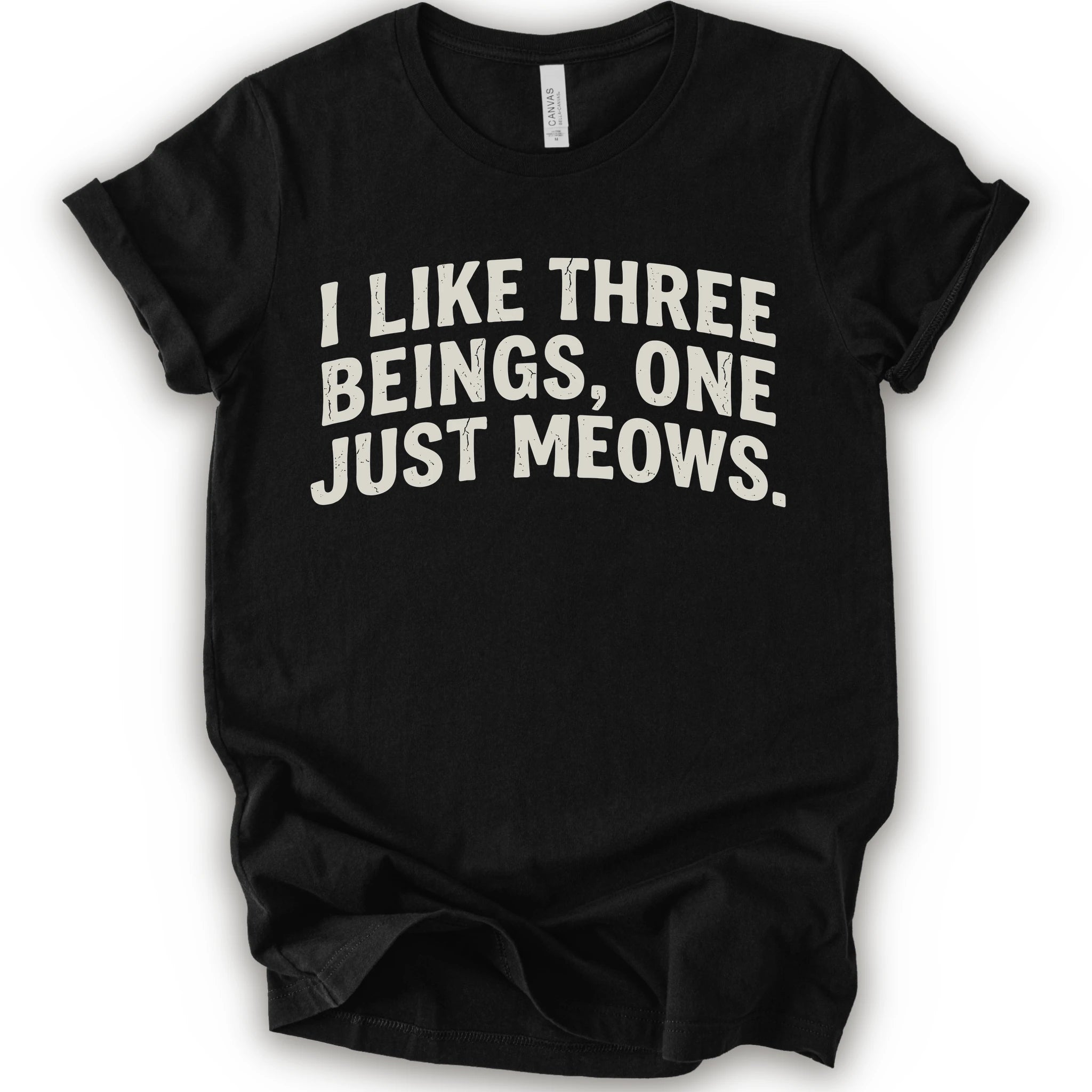 Black graphic t-shirt with distressed cream text reading “I LIKE THREE BEINGS, ONE JUST MEOWS.” for an introvert cat T-shirt