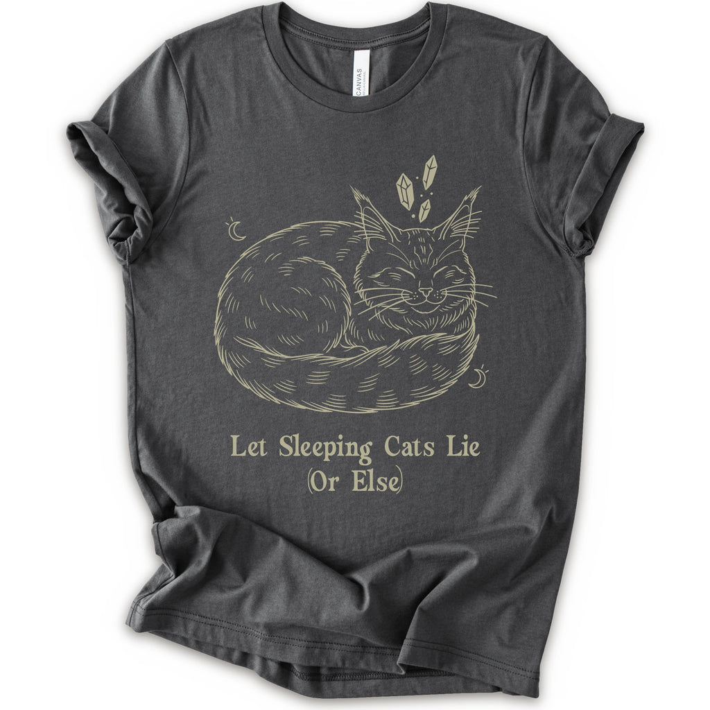 A asphalt short-sleeve crewneck t-shirt with a graphic of a sleeping maine coon cat in beige line art, accompanied by the text 'Let Sleeping Cats Lie (Or Else)'.