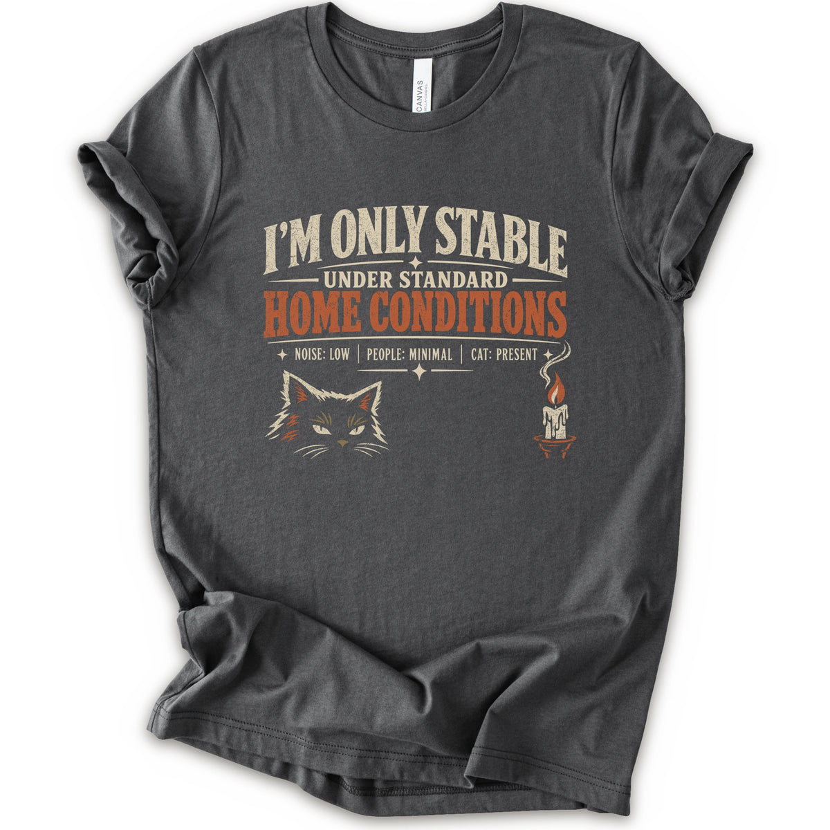 An asphalt short-sleeve graphic t-shirt features a humorous cat-themed print that reads 'I'M ONLY STABLE UNDER STANDARD HOME CONDITIONS' in cream and orange lettering, accompanied by a graphic of a cat's face and a small candle with a cat inside.